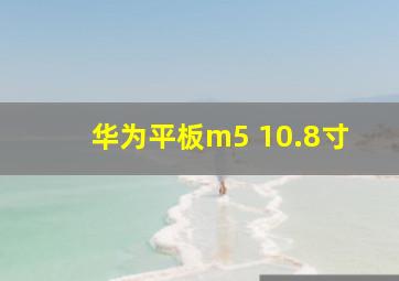 华为平板m5 10.8寸